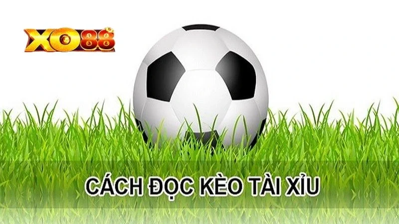 Kèo Tài Xỉu Cách đọc kèo tài xỉu